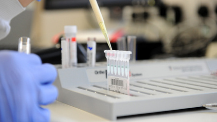 Pipetting image 8-Peterborough & Stanford Hospital labs-04.2016.jpg