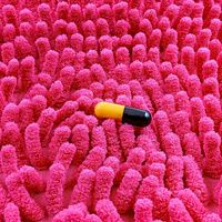 gut-health.jpg