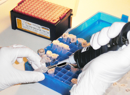 tim_wreghitt_cambridge_virology_&_general_lab_pipetting_virology_785x400.jpg