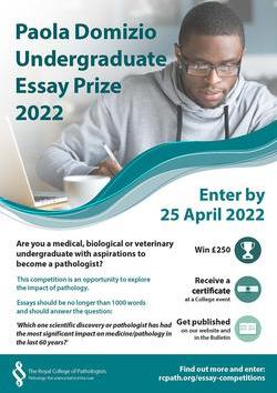 Paola Domizio Undergraduate Essay Prize 2022 - flyer (JPEG) 