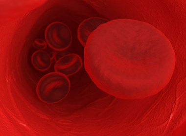 red_blood_cells_haematology_16185775_785x400px.jpg
