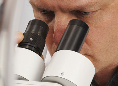 male_pathologist_microscope_histopathology_microbiology_9519871_785x400px.jpg