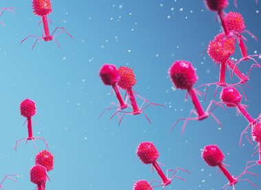 Bacteriophages - resized.jpg