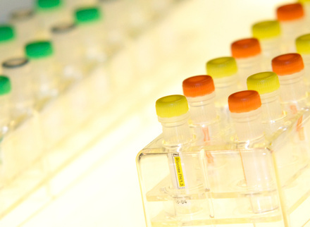 imbs_equipment_2_general_lab_785x400.jpg