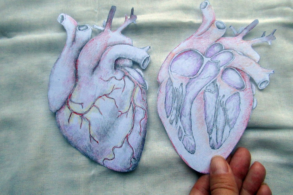coloured in hearts.jpg