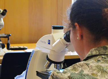 exams_banner_p4232000.jpg
