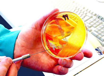 mac_plate_imbs_equipment_microbiology_v2_785x400.jpg