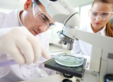 lab 6.jpg