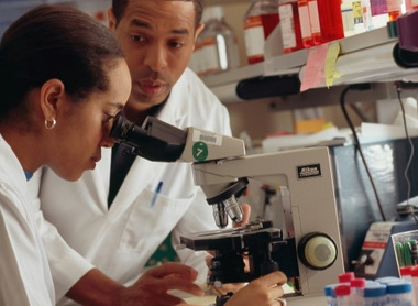 pathologists_working_together_laboratory_banner_785x400px.jpg