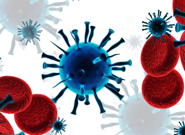 blood-cells-.png