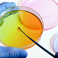 petri_dish_chemical_pathology_microbiology_11818792_370x290px.jpg